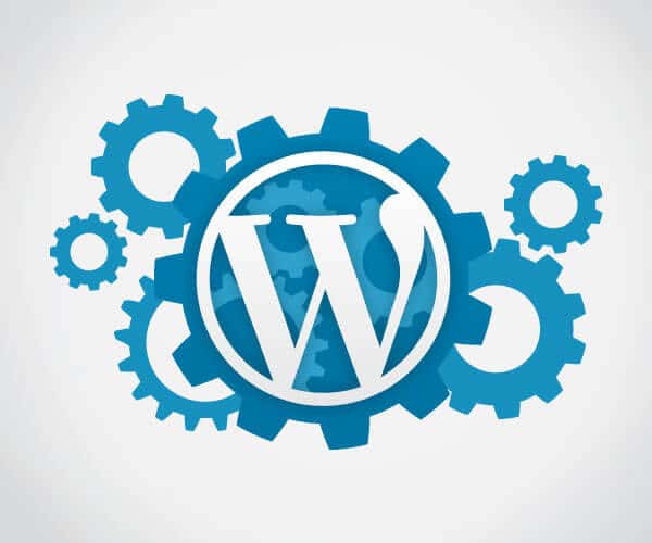 Wordpress Support Services