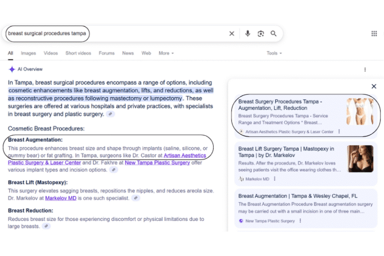 SEO and GEO Strategies | Unlock Business Potential for Success_AAPS Client Success Story